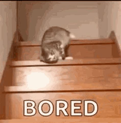 bored gifs funny